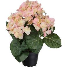 Hortensia planter og Fröken Fräken hortensia 30 Kunstig plante