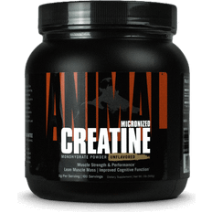 Universal Nutrition Animal Micronized Creatine Delay Muscle Fatigue 500g