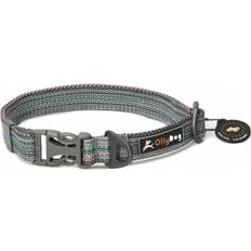 OllyDog OllyDog Flagstaff Collar Repurpose Prism