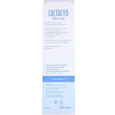 Hygieneartikel LACTACYD Derma Waschsyndet 250ml