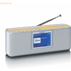 Radio's uitverkoop Lenco PDR-046GY DAB+ Radio