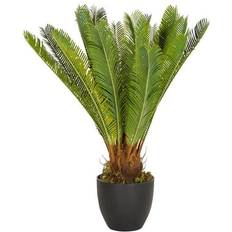 Künstliche Pflanzen hjh OFFICE CYCAS Kunststoff, Stoff hjh Künstliche Pflanzen