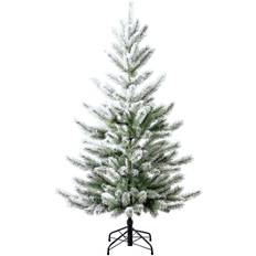 Weihnachtsbäume Evergreen Cedar 210cm Weihnachtsbaum