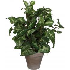 Mica Decorations Syngonium Kunstig plante