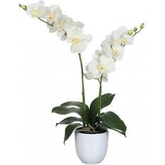 Interieur Details Mica Decorations Orchidee Bloem Kunstplant H66 x B38 cm