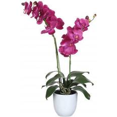 Interieur Details Mica Decorations Orchidee Bloem Kunstplant H66 x B38 cm