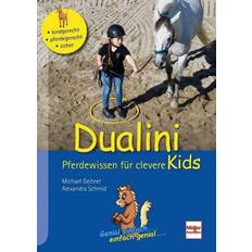Media Player Dualini