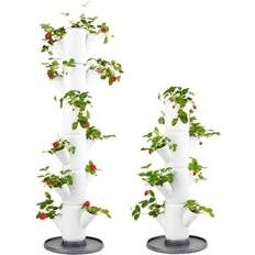 Pflanzerde Trendfabrik Gusta Garden Topf Gusta Garten Strawberry