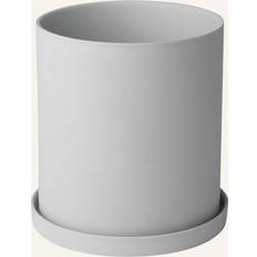 Nona Herb Pot Micro Chip