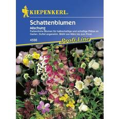 Blumensamen Kiepenkerl Saatgut Schattenblumen