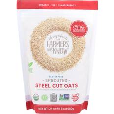 Baby Food & Formulas One Degree Organic Foods Sprouted Steel Cut Oats bag