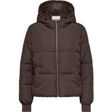JdY NEWERICA Short Hood Jacket - Marrone