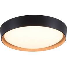 Paul Neuhaus Leuchten Direkt 1434718-LED Dimmable Takplafond