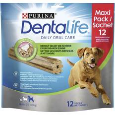 Purina Hunde Haustiere Purina DentaLife Maxi Snacks