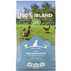 Irish pure Irish Pure Junior Irisches Freilandhuhn