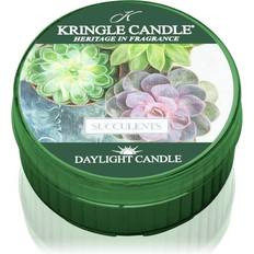 Kringle Candle Interieur Details Kringle Candle Daylight Succulents 42 g