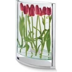 Philippi Decade Small Vase