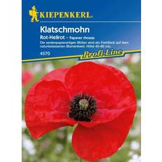 Beste Bäume & Sträucher Kiepenkerl Klatschmohn Rot-Hellrot Papaver rhoeas, Inhalt: