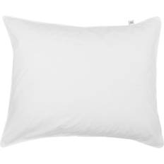 Percale Hovedpudebetræk Mille Notti Benevola Hovedpudebetræk Hvid (70x50cm)