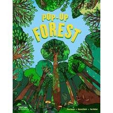 Pop up bog Pop-Up Forest
