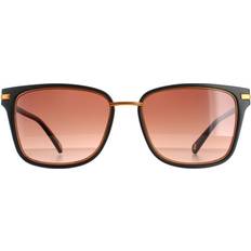 Ted Baker Square Black Brown Gradient TB1620