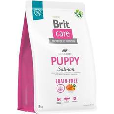 Brit Hundar - Hundfoder - Lax Husdjur Brit Care Dog Puppy Grain Free Salmon 3