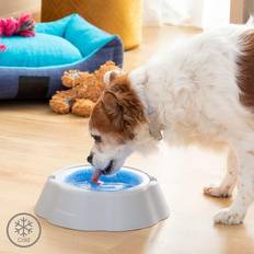 InnovaGoods Cooling Pet Water Bowl