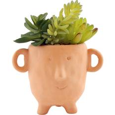 Geko Face Terracotta Pot With Cacti