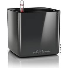 Selvvandende Krukker Lechuza CUBE Glossy Krukke