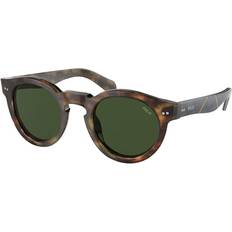 Solbriller Polo Ralph Lauren PH4165 501771