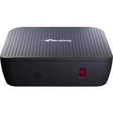 4k player Bird Dog Play 4K NDI Player with Full Support