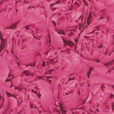 Wallpapers Rasch Rosenfield Pink Floral Wallpaper