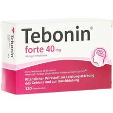 Tebonin Tebonin forte 40 mg Filmtabletten