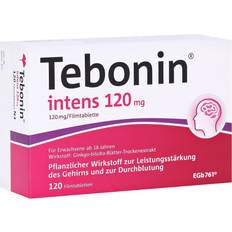 Tebonin intens 120mg 120Stk. Tablette