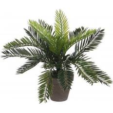Keramik Duftlys Mica Decorations Cycas Japansk Koglepalme 33 cm Høj Duftlys
