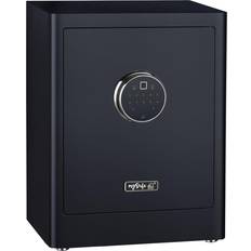 Basi 2020-0001-SCHW mySafe Premium 450