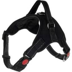 Pressure-free Dog