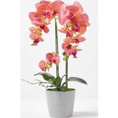 Homescapes Coral Orchid Artificial Plant