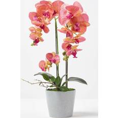 Homescapes Coral Orchid Plante Artificielle