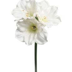 Mr Plant Amaryllis stilk, 65cm hvid Kunstig plante