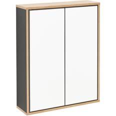 Finn 630mm W 770mm H Medicine Cabinet Mirror