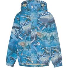 24-36 kk Sadetakit Molo Waiton Rain Jacket Big Ancient Sea - Blue