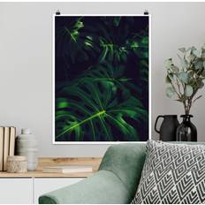 Poster Monstera Jungle Affiche