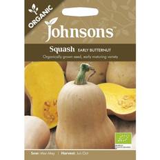 Vegetable Seeds Johnsons Seeds Organic Winter Early Butternut Squash