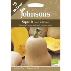 Organic Winter Early Butternut Squash