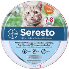 Seresto Haustiere Seresto SERESTO Halsband f.Katzen 1 St