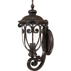 Acclaim Lighting Naples Collection 2101MM Veggarmatur