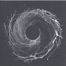 Indigo Dysnomia