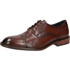 43 ½ Derby Sioux Schnürschuh Malronus-702 Braun 1013013617