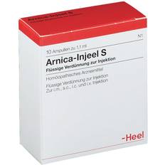 Pre-Workout Biologische Heilmittel Heel GmbH ARNICA S Ampullen